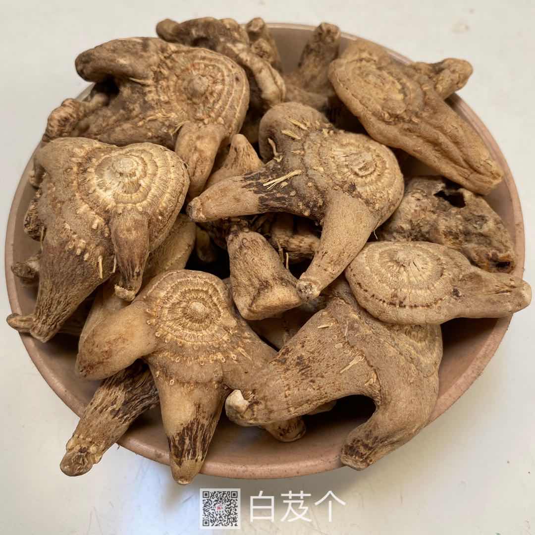 白芨圖片/白芨樣板圖 (3)