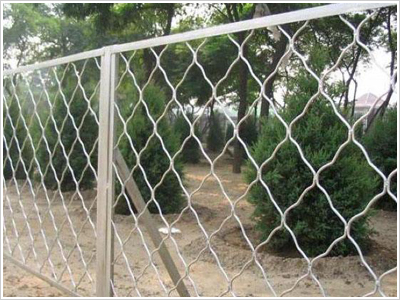 熱鍍護欄網(wǎng)圖片/熱鍍護欄網(wǎng)樣板圖 (2)