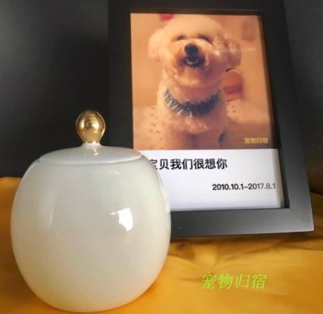 寵物火化圖片/寵物火化樣板圖 (4)