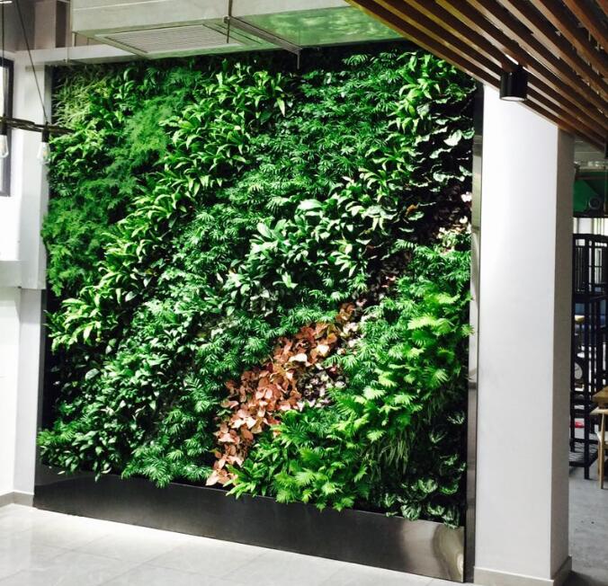 室內(nèi)植物墻圖片/室內(nèi)植物墻樣板圖 (2)