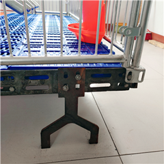 母豬限位欄-定位欄價(jià)格-批發(fā)價(jià)