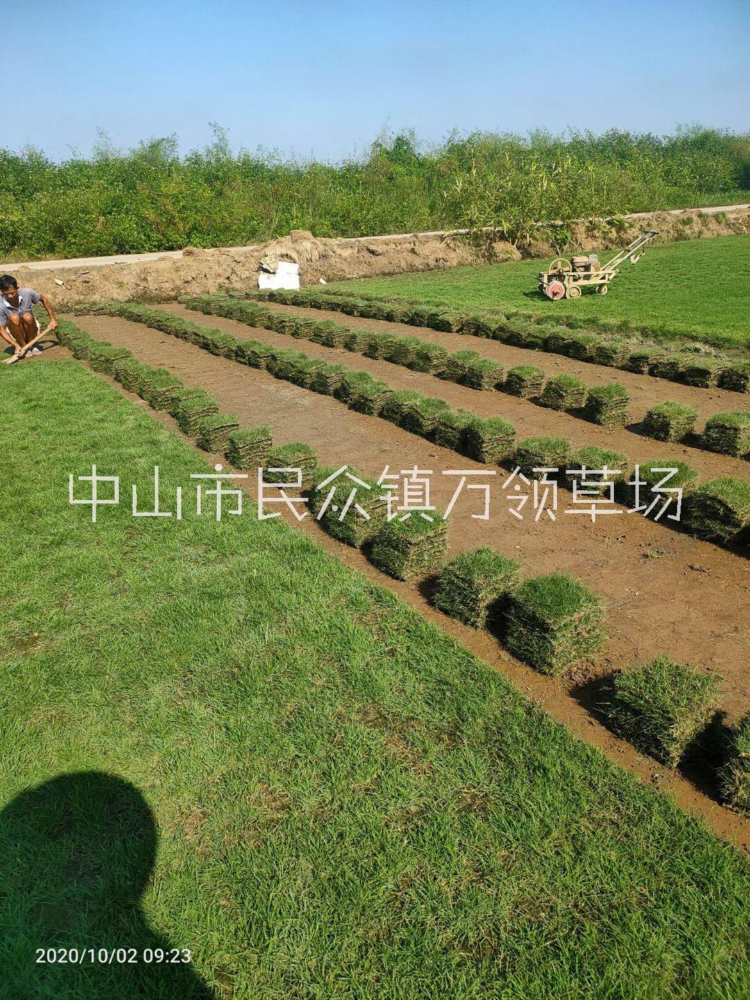 成活率高圖片/成活率高樣板圖 (4)