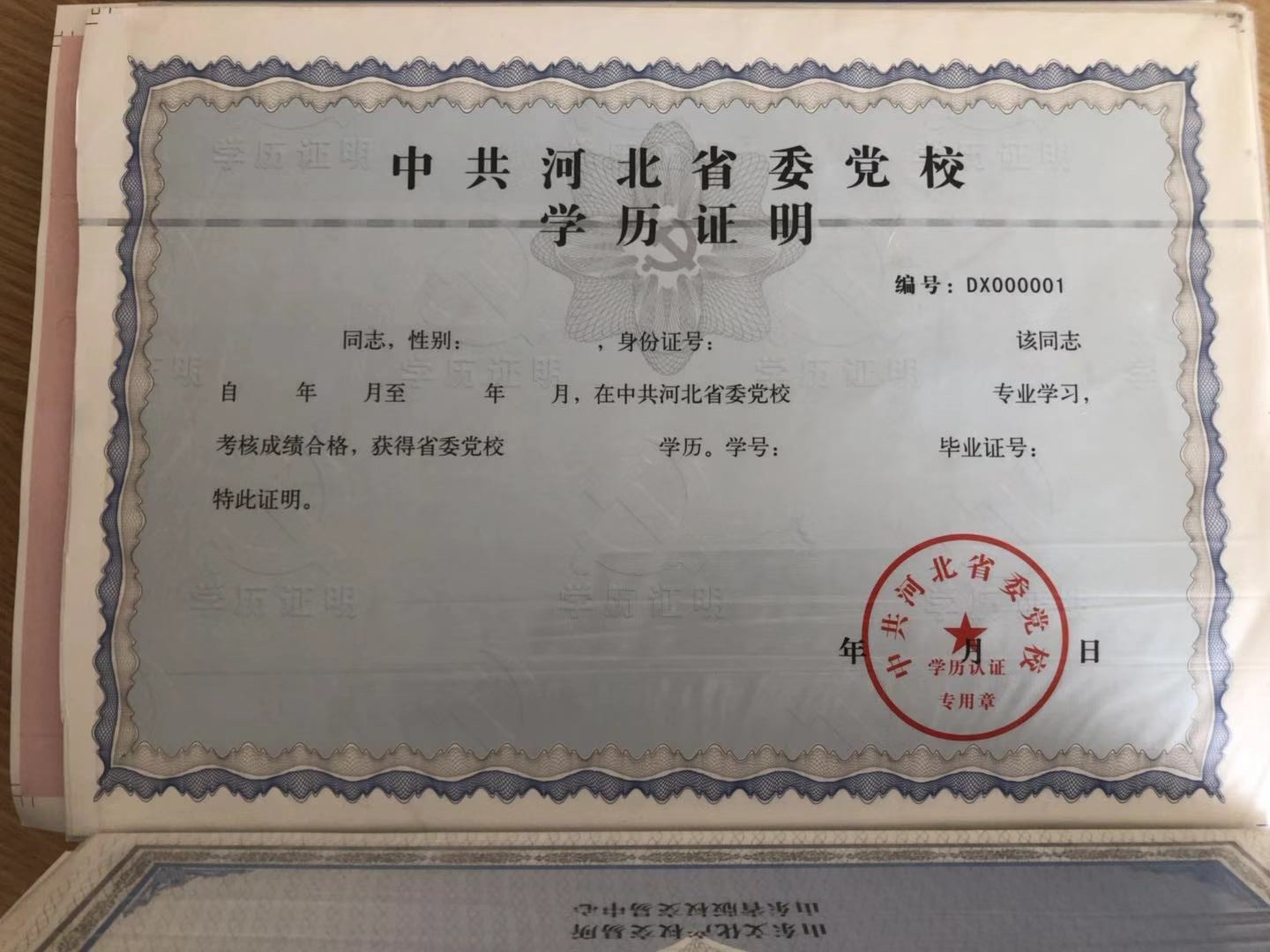 股權(quán)證圖片/股權(quán)證樣板圖 (4)