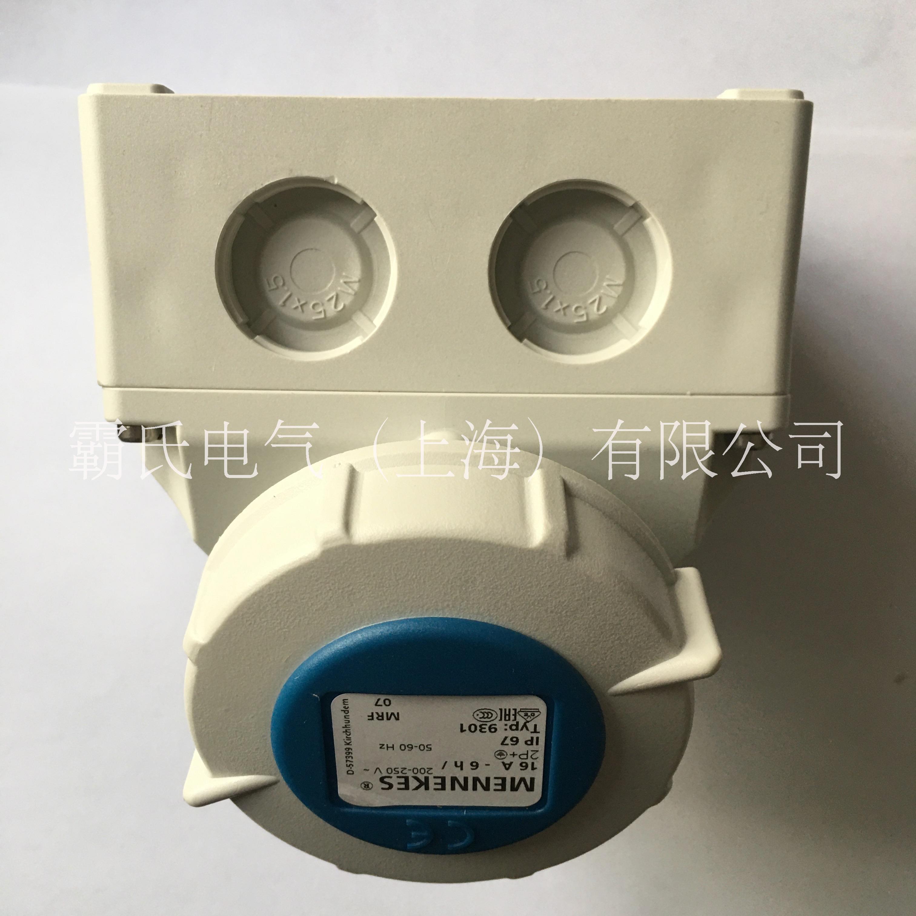 曼奈柯斯插座圖片/曼奈柯斯插座樣板圖 (4)