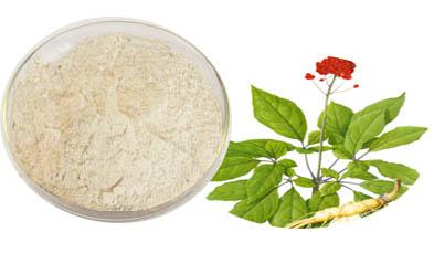 人參提取物圖片/人參提取物樣板圖 (4)