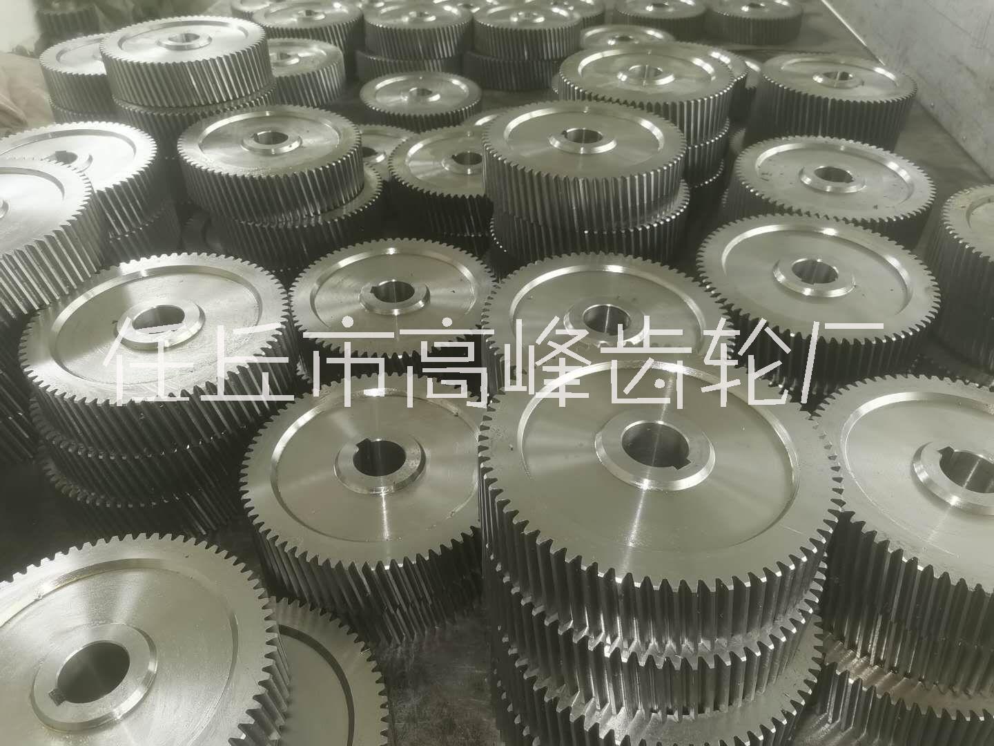 河南斜齒圖片