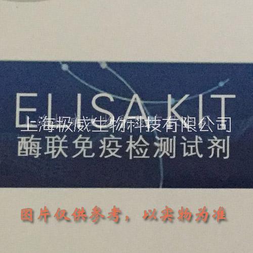 豬胰島素(INS)elisa試劑圖片/豬胰島素(INS)elisa試劑樣板圖 (2)