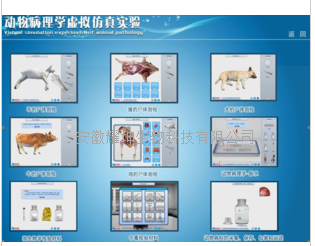 动物病动物病理学虚拟仿真系统理学虚拟仿真系统图片