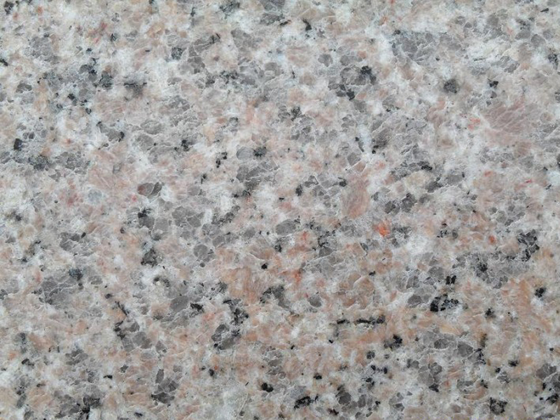 五蓮紅廠家圖片/五蓮紅廠家樣板圖 (4)