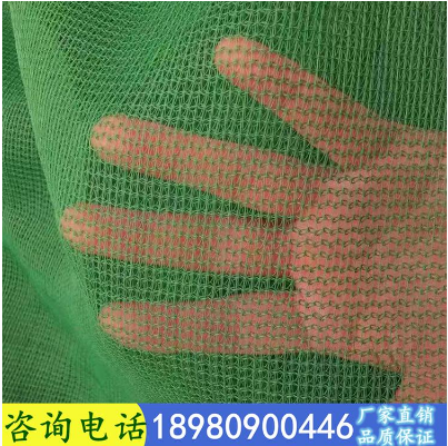 國標(biāo)密目網(wǎng)圖片/國標(biāo)密目網(wǎng)樣板圖 (3)