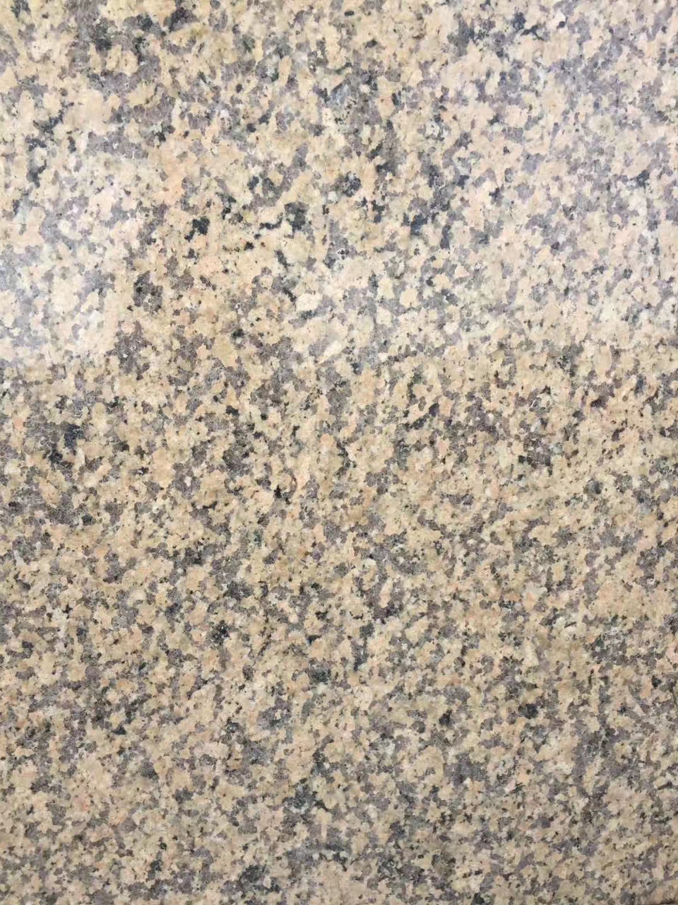 鄯善黃光面圖片/鄯善黃光面樣板圖 (4)