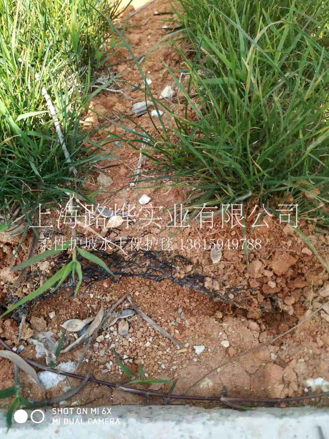 漳州圖片/漳州樣板圖 (4)