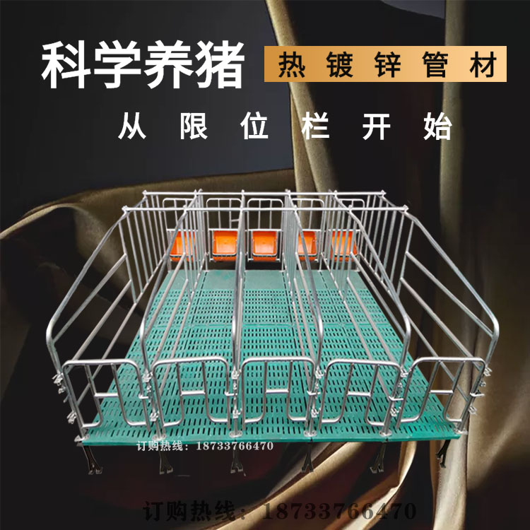 母豬限位欄圖片/母豬限位欄樣板圖 (2)
