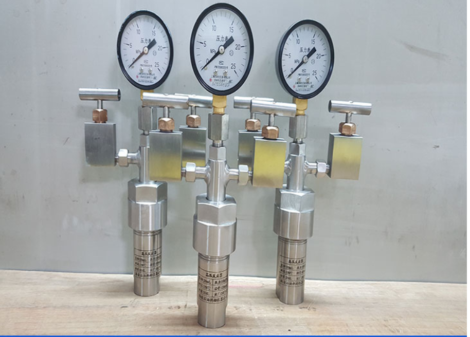 50mL20MPa反應釜圖片/50mL20MPa反應釜樣板圖 (1)