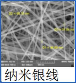 納米銀線圖片/納米銀線樣板圖 (2)