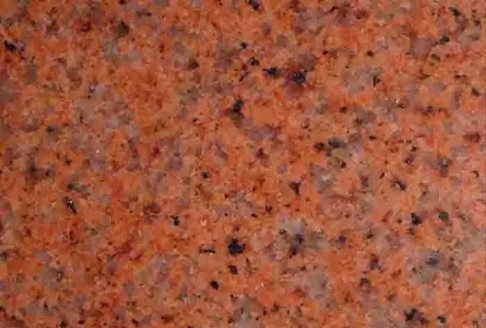 廣東沙利士紅報價圖片