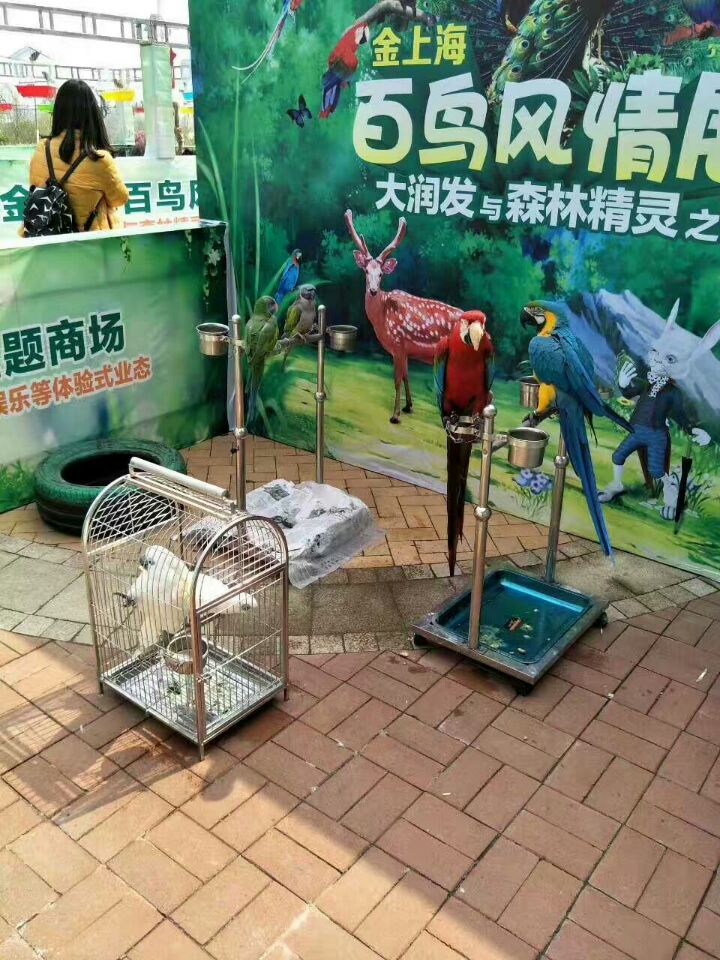 設備租賃圖片/設備租賃樣板圖 (4)