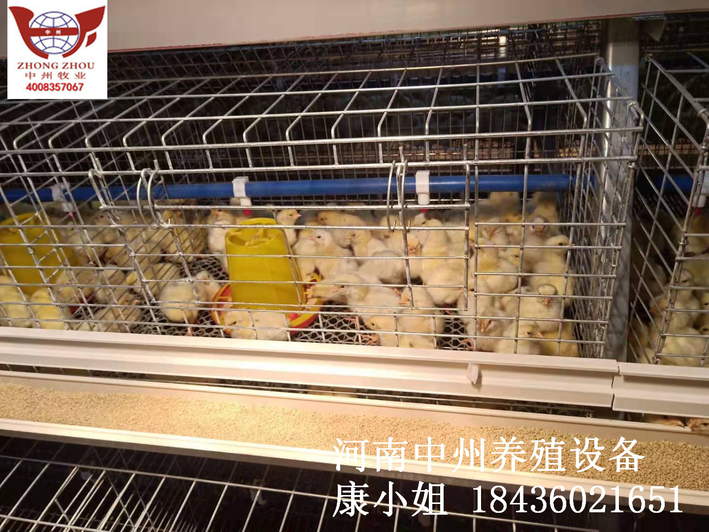 中州牧業(yè)圖片/中州牧業(yè)樣板圖 (3)