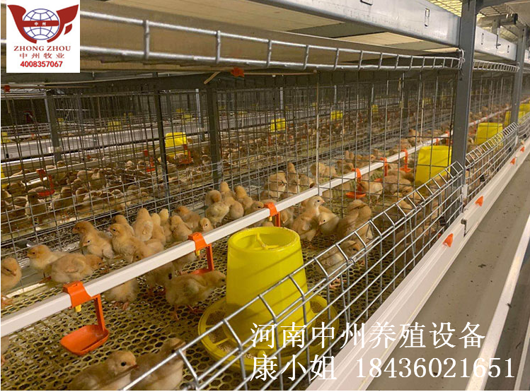 中州牧業(yè)圖片/中州牧業(yè)樣板圖 (2)
