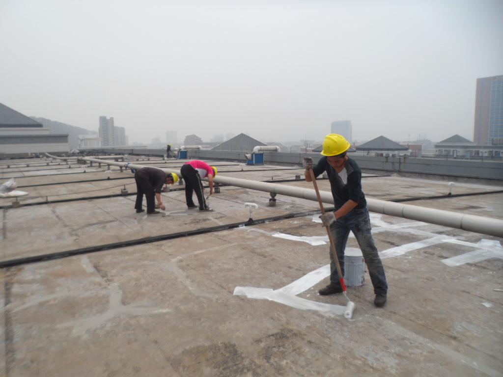 樓頂防水補(bǔ)漏圖片