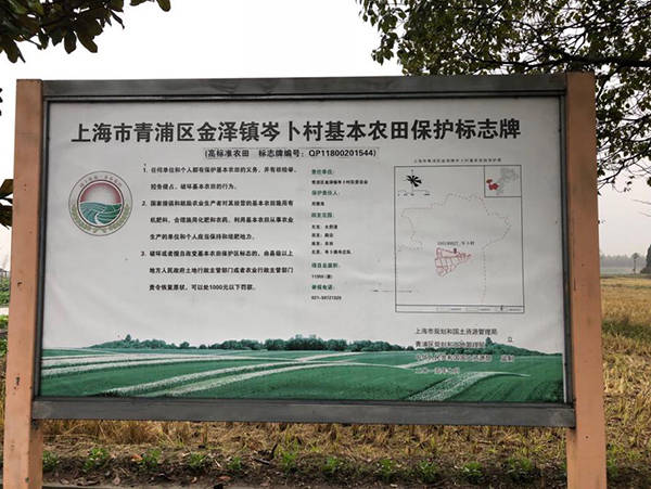 標(biāo)牌制作安裝圖片/標(biāo)牌制作安裝樣板圖 (3)