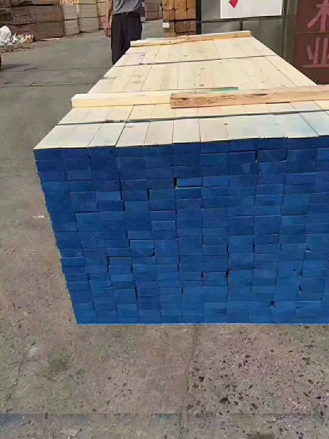 樟子松圖片/樟子松樣板圖 (4)