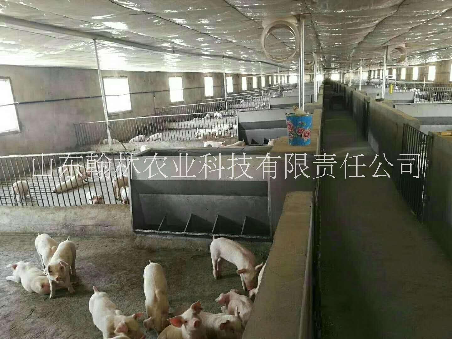 豬食槽圖片/豬食槽樣板圖 (4)