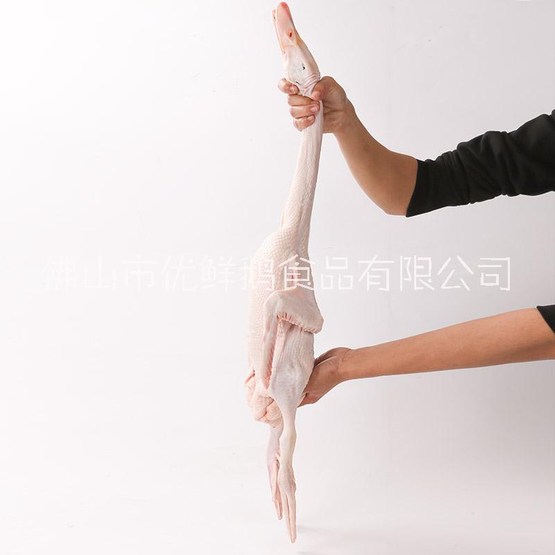 廣東白條鴨批發(fā)圖片/廣東白條鴨批發(fā)樣板圖 (2)