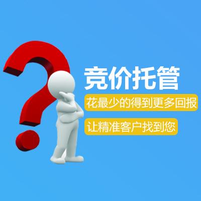 競(jìng)價(jià)托管圖片/競(jìng)價(jià)托管樣板圖 (3)