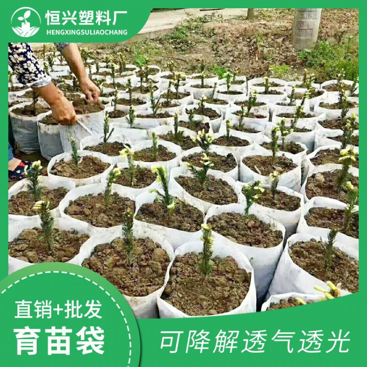 安徽無紡布育苗袋供應圖片