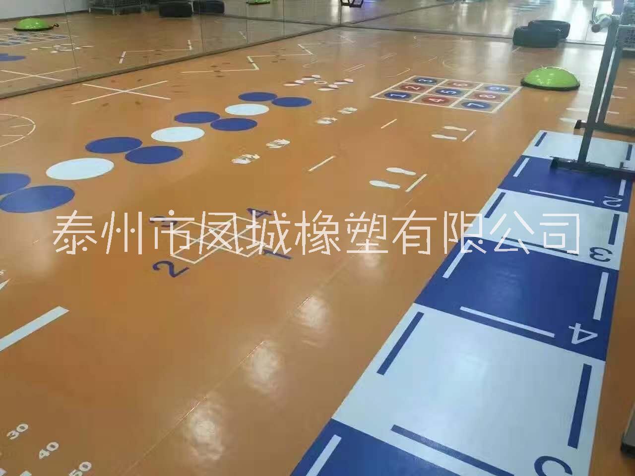 體能活動(dòng)中心 360定制地板PVC地板塑膠地板