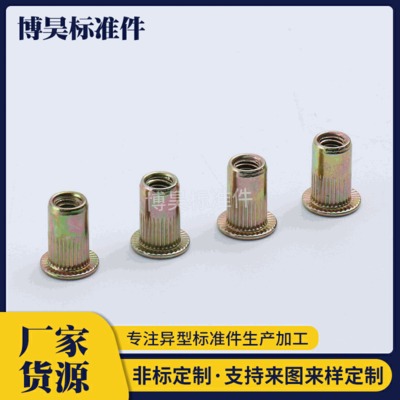 拉鉚螺母圖片/拉鉚螺母樣板圖 (1)