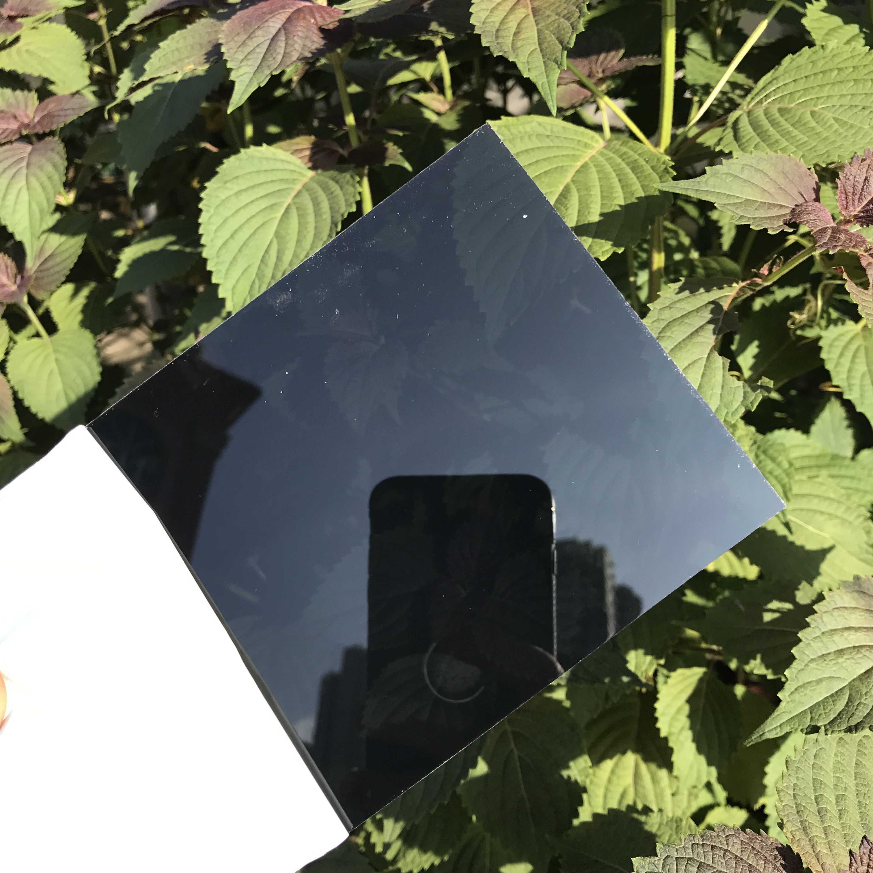 耐力板圖片/耐力板樣板圖 (2)