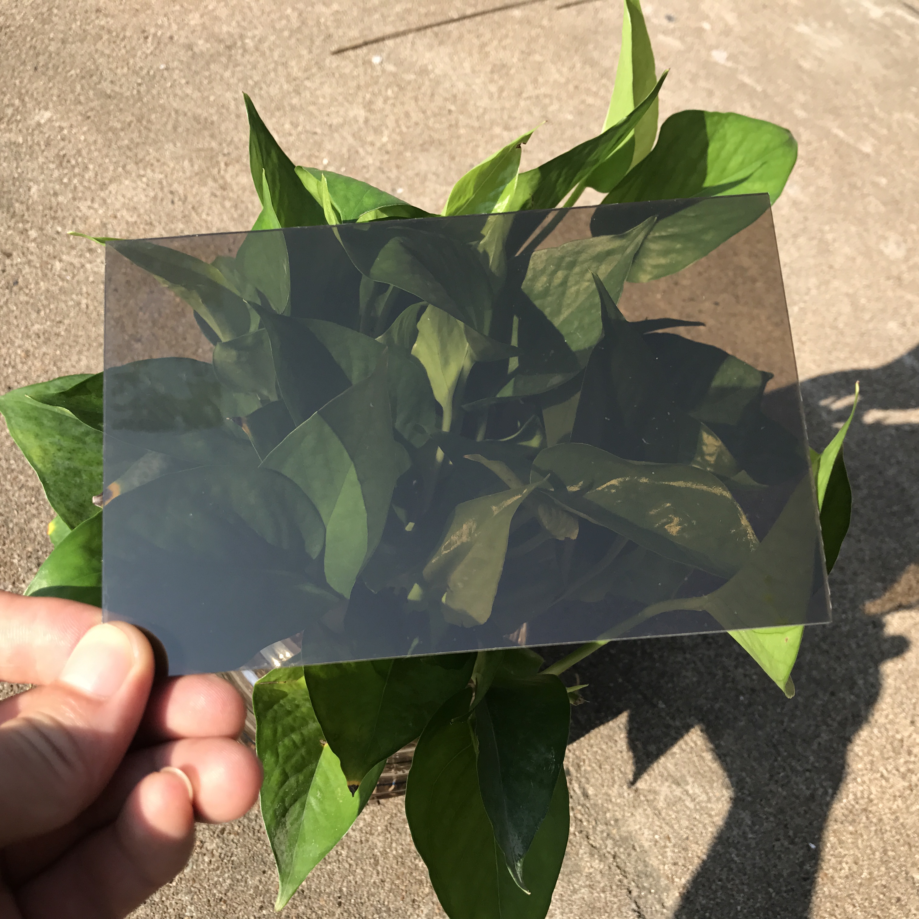 茶色耐力板圖片/茶色耐力板樣板圖 (2)