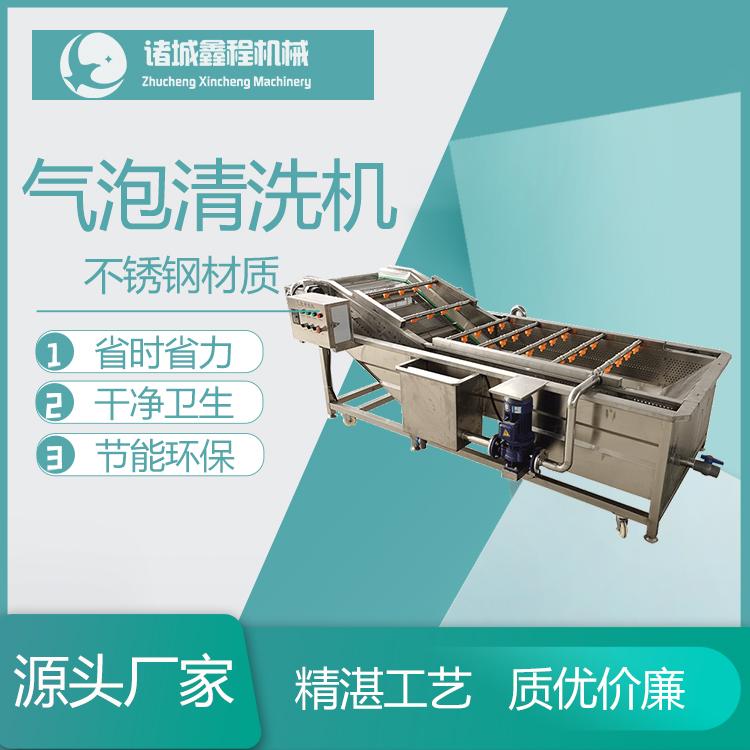 大型氣泡清洗機 火龍果氣泡清洗機 臍橙清洗機