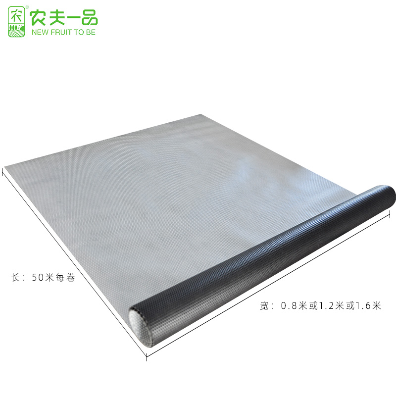 柑橘專用圖片/柑橘專用樣板圖 (4)