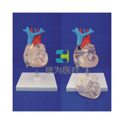 大透明圖片/大透明樣板圖 (1)