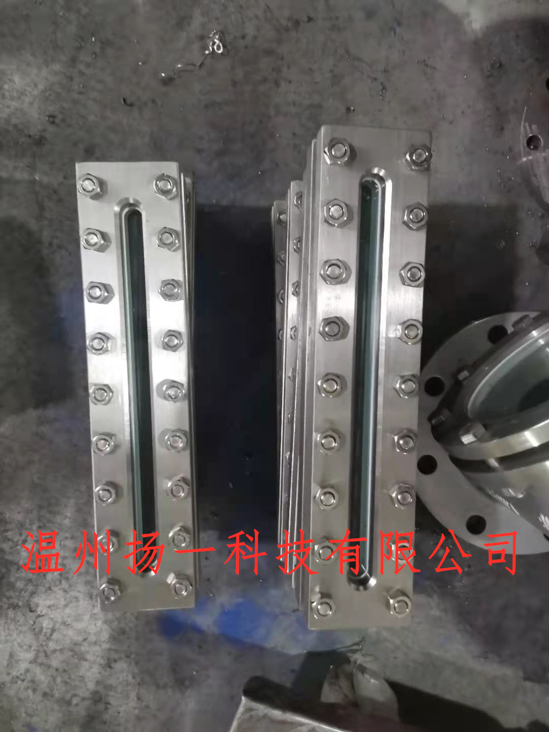 溫州揚一科技碳鋼方框視鏡，304長條視鏡