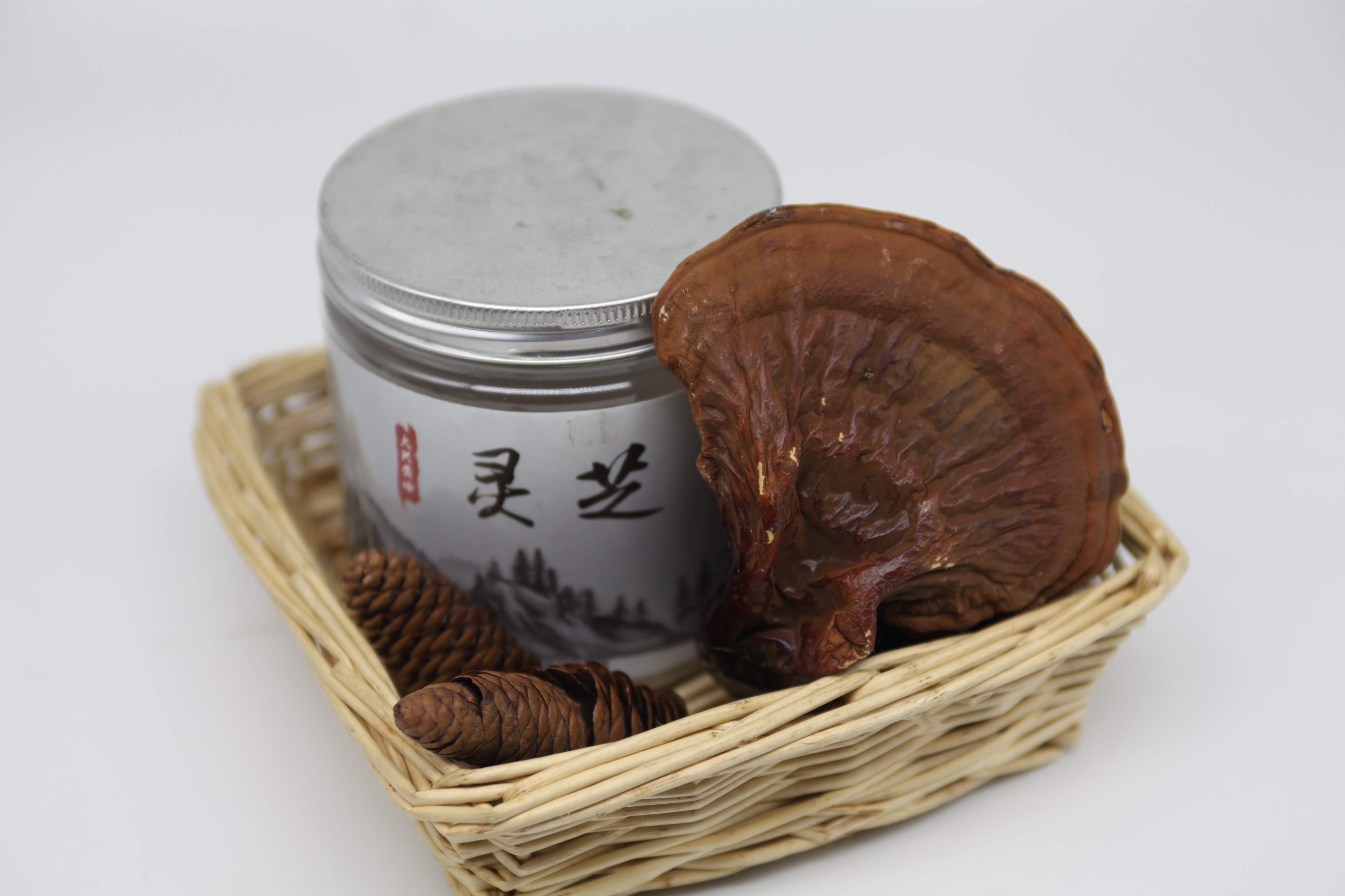 樟子松山珍木耳玉木耳榛蘑滑子菇圖片/樟子松山珍木耳玉木耳榛蘑滑子菇樣板圖 (4)