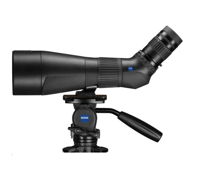 Victory Harpia85圖片/Victory Harpia85樣板圖 (4)