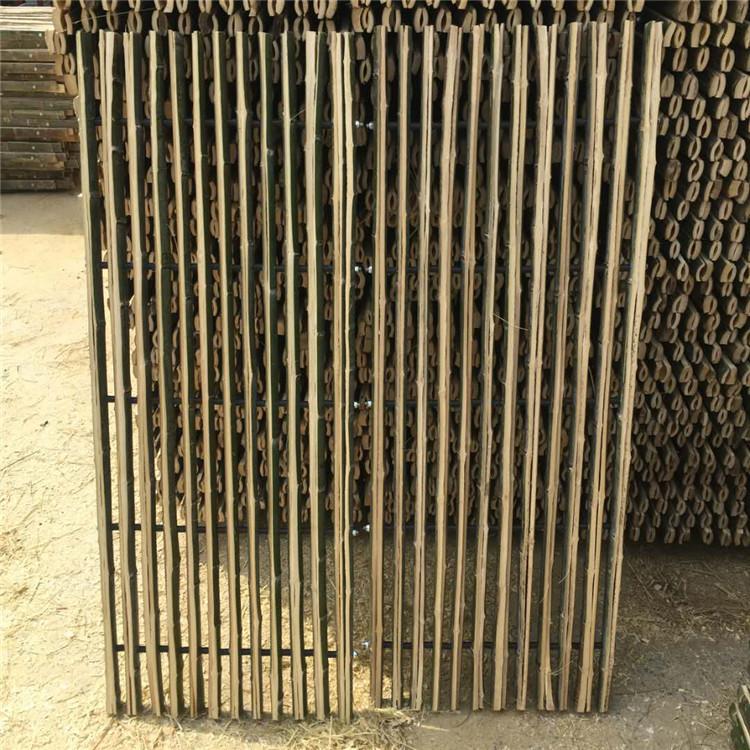 山東竹子羊床圖片