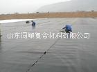 膨潤土防水圖片/膨潤土防水樣板圖 (4)