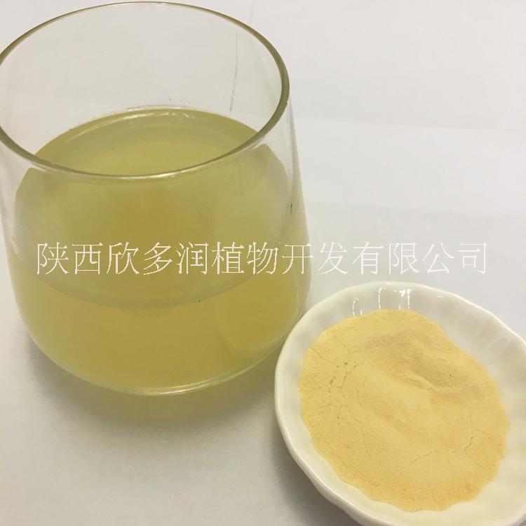 檸檬果粉圖片/檸檬果粉樣板圖 (2)