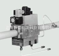 冬斯圖片/冬斯樣板圖 (3)