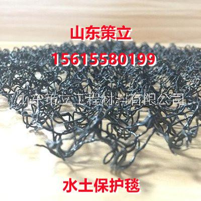 柔性三維水土保護(hù)毯圖片/柔性三維水土保護(hù)毯樣板圖 (4)
