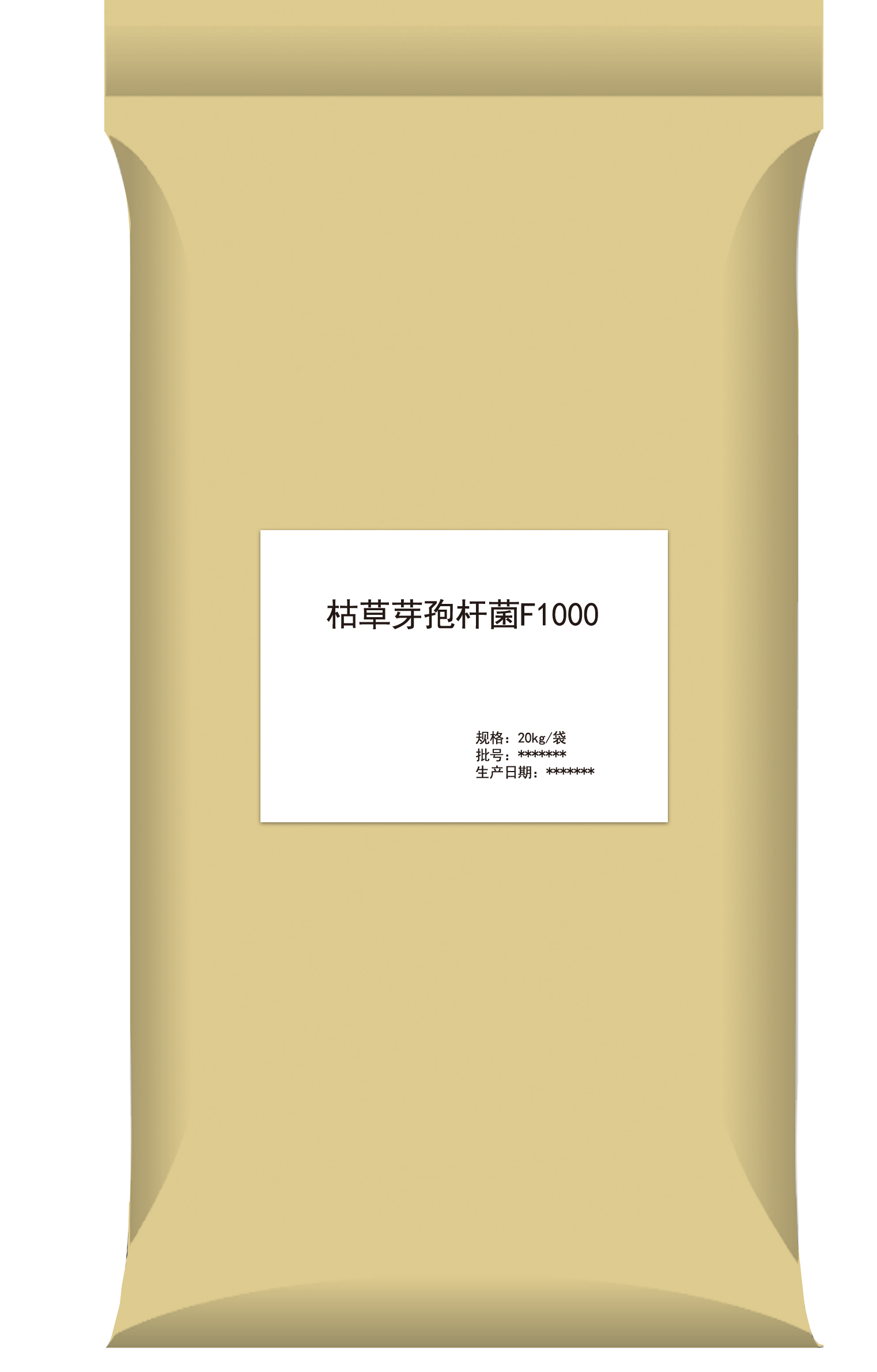 芽孢桿菌圖片/芽孢桿菌樣板圖 (2)
