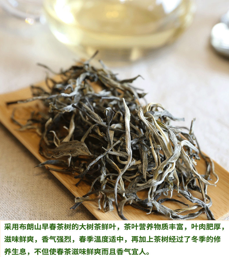 云南古树普洱茶饼云南普洱茶叶茶饼图片