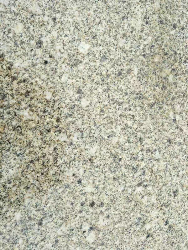 卡基諾金圖片/卡基諾金樣板圖 (4)