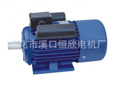 雙值電容異步電機(jī)圖片/雙值電容異步電機(jī)樣板圖 (1)