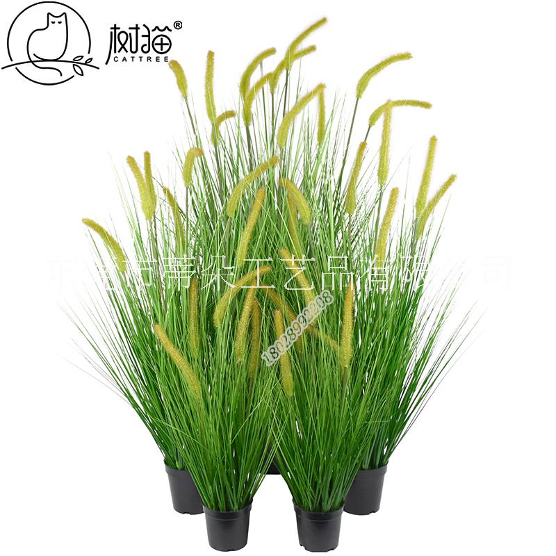 樹貓仿真植物狗尾草盆景客廳室內(nèi)裝飾擺件假草盆栽工廠批發(fā)可定制